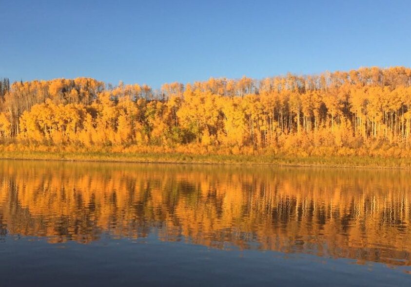 Carcajou getaway by Cozy Corner Guest Home in La Crete Alberta Peace River